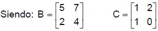 Ejercicios de Matrices y Determinantes para Cuarto Grado de Secundaria